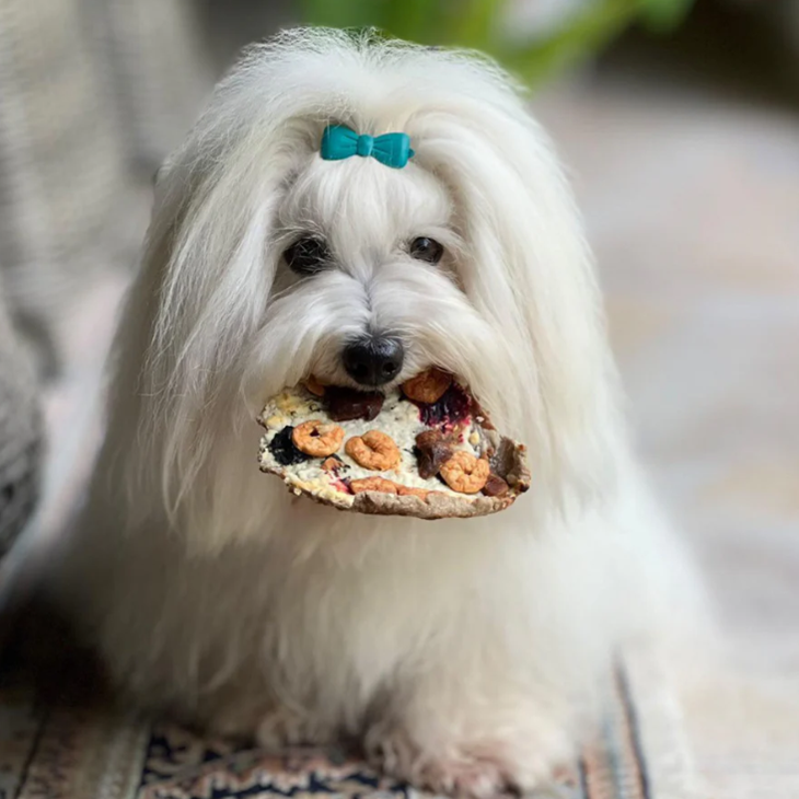 RINA FRUTTI DI MARE šunų pica